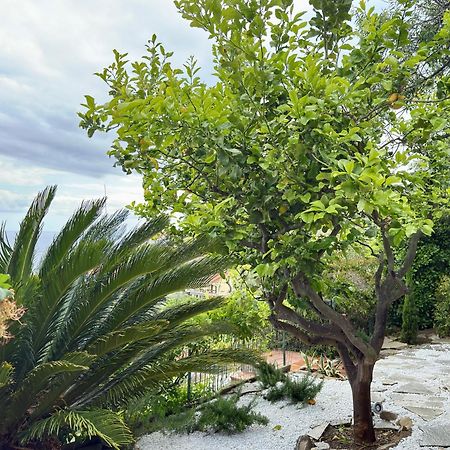 Villa Cielo Costarainera Extérieur photo