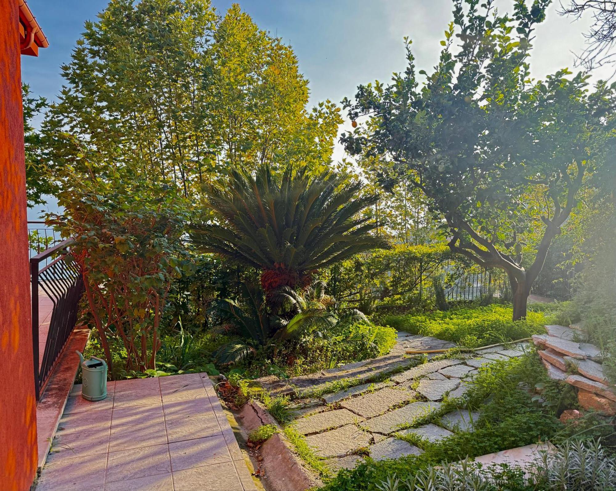 Villa Cielo Costarainera Extérieur photo