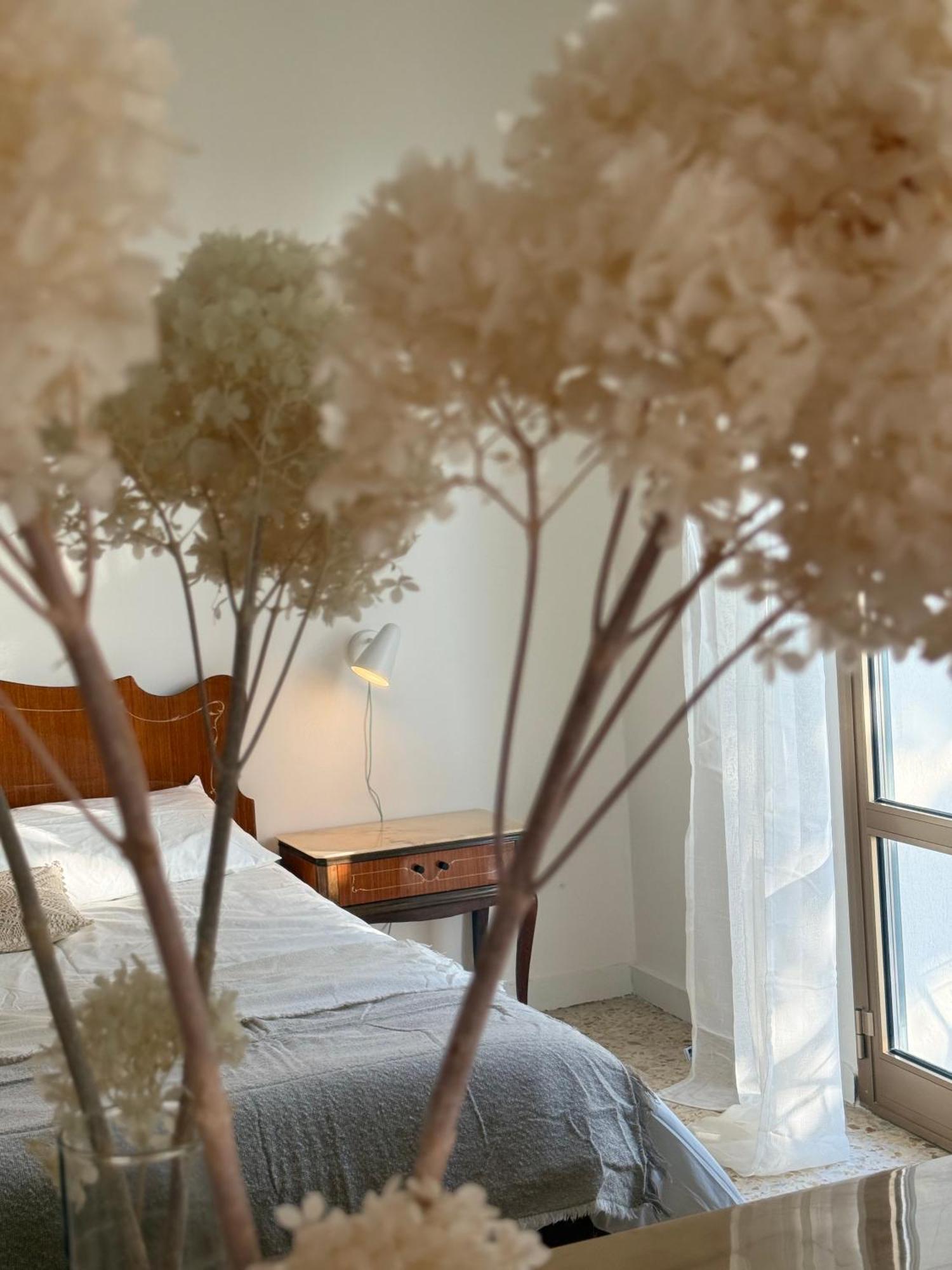 Villa Cielo Costarainera Extérieur photo