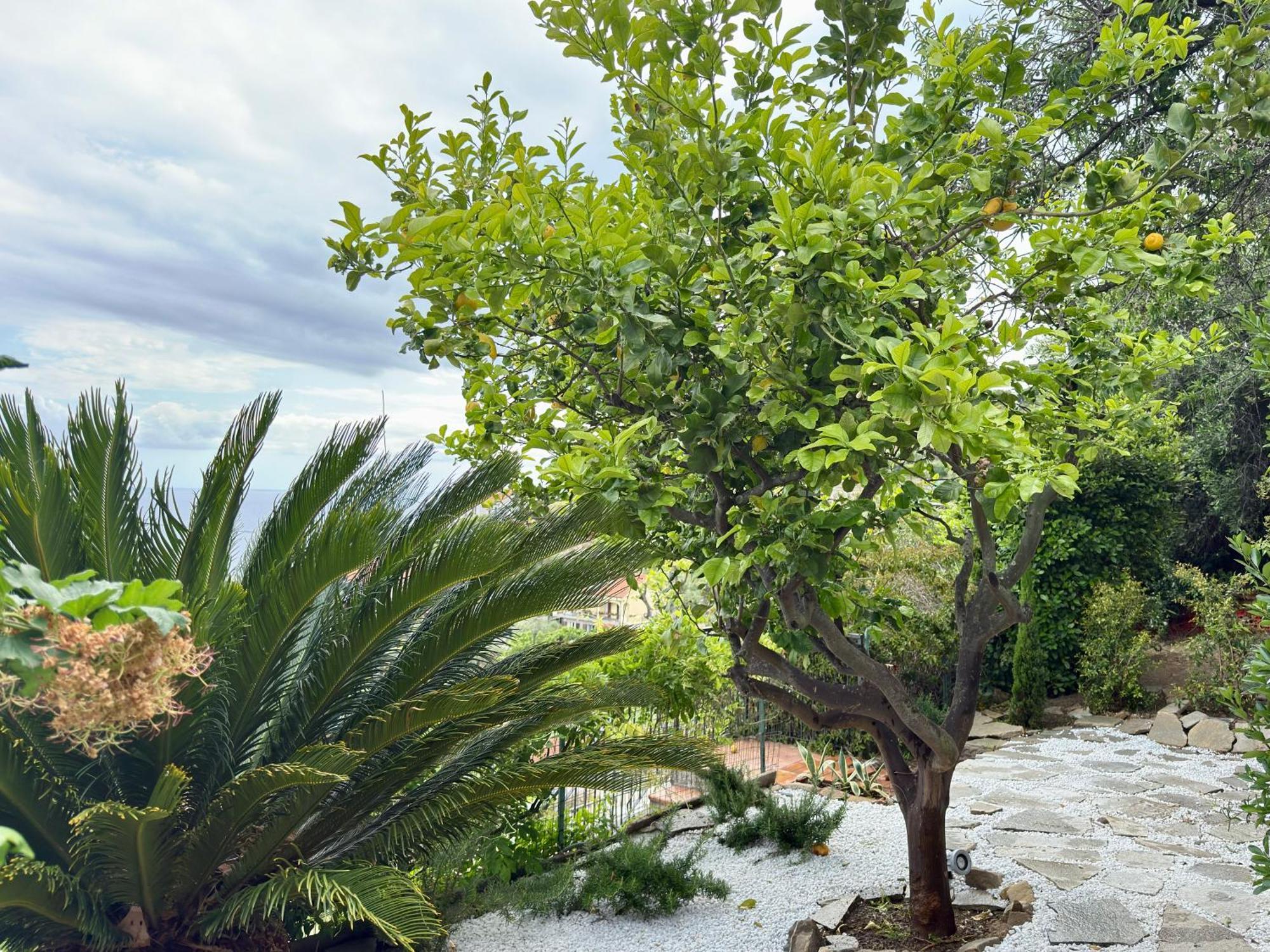 Villa Cielo Costarainera Extérieur photo